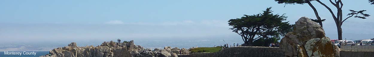 Banner Image of Monterey County Beach