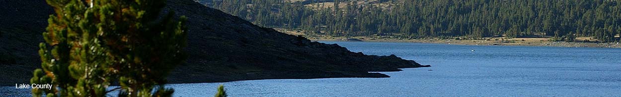 Banner image of lake and pine tree in Lake County.